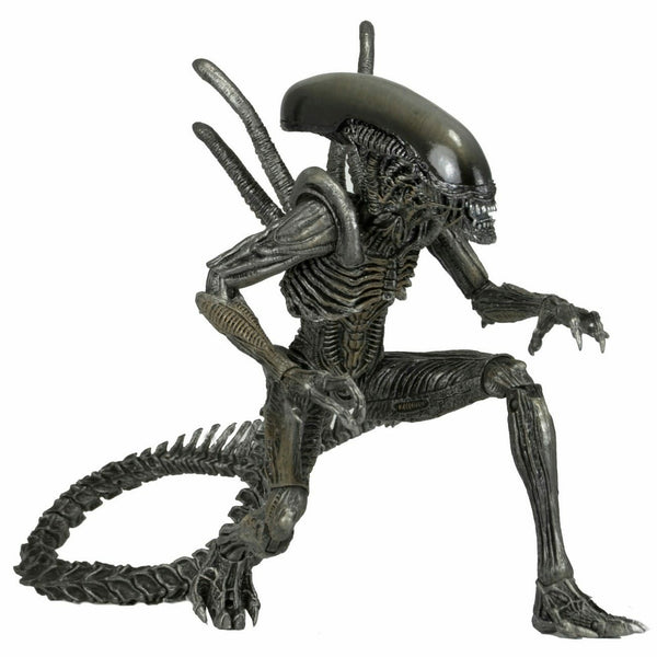 Alien vs. Predator Warrior Alien Action Figure