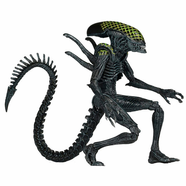 Alien vs. Predator Grid Alien Action Figure