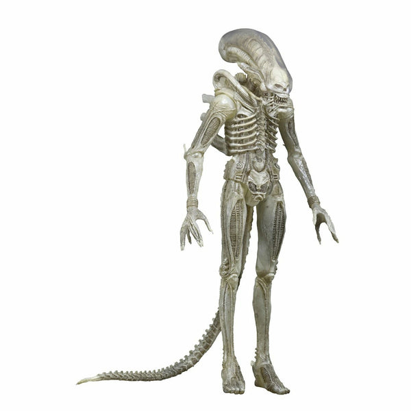 NECA Alien Xenomorph Action Figure