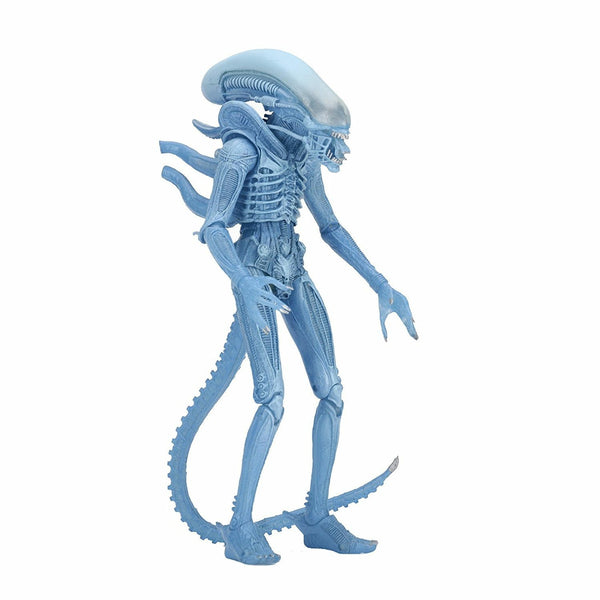 Aliens Blue Warrior Alien 7 inch Scale Action Figure