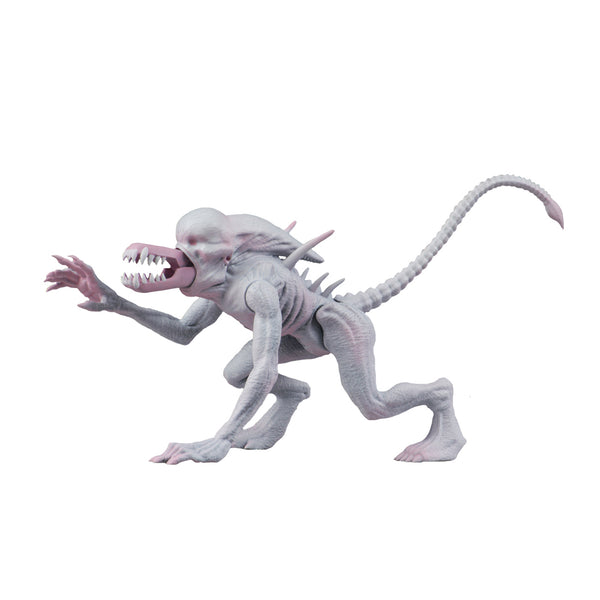 Aliens: Neomorph Alien Action Figure