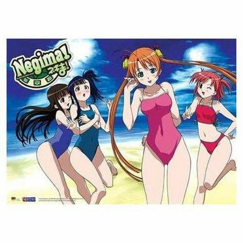 Negima!: Asuna, Konoka, Setsuna & Makie Bikini Wall Scroll