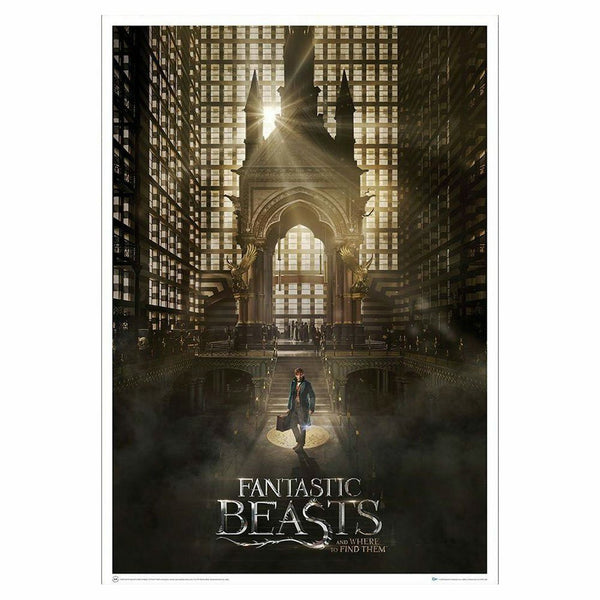 Fantastic Beasts and Where to Find Them Magical Congress Art Print Poster