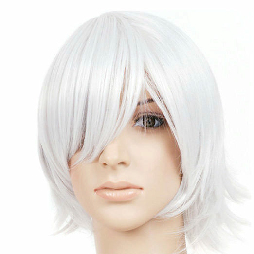 Silver Grey Short Chin Length Anime Cosplay Costume Wig